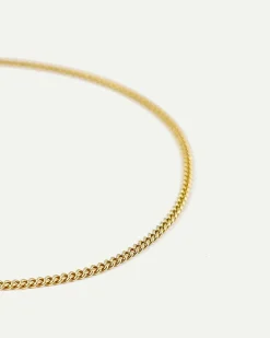 Dear Darling Berlin Fine Curb Chain Necklace Gold
