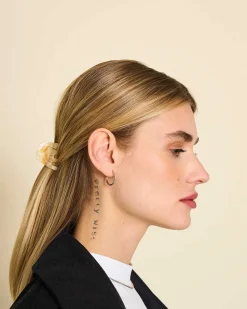 Mini Claw Sea Shell Checker